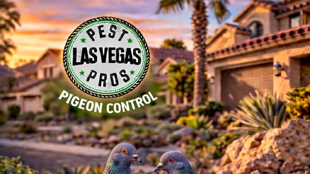 Las Vegas Pigeon Control | Professional Bird Removal & Proofing