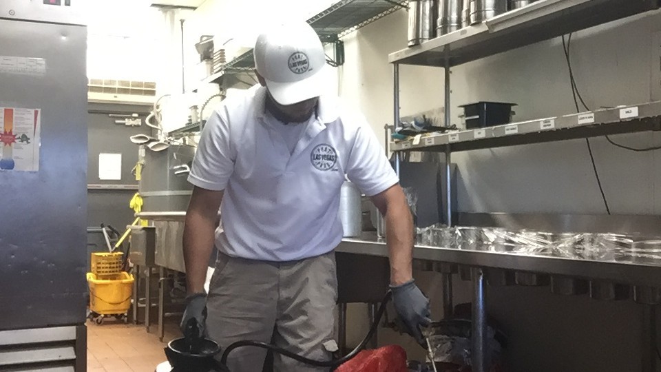 Commercial Pest Control Las Vegas | Pest Pros Las Vegas