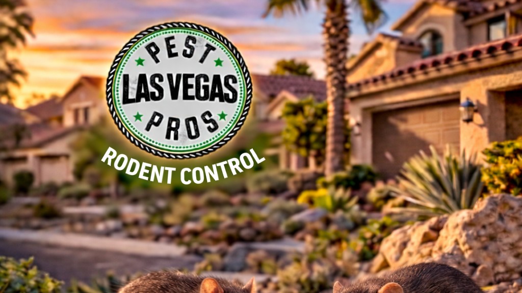 Las Vegas Rodent Control | Pest Pros for Rats & Mice