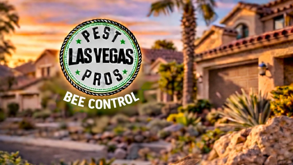 Bee Removal & Exterminator Las Vegas | Pest Pros Las Vegas