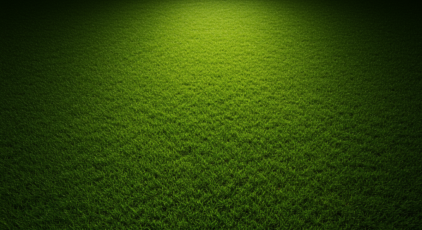 Citrus Springs Lawn Fertilization | Evergreen Pest Control