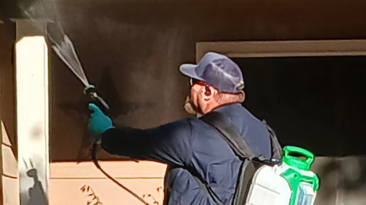 One-Time Pest Control in Clovis, CA | Valhalla Pest Control