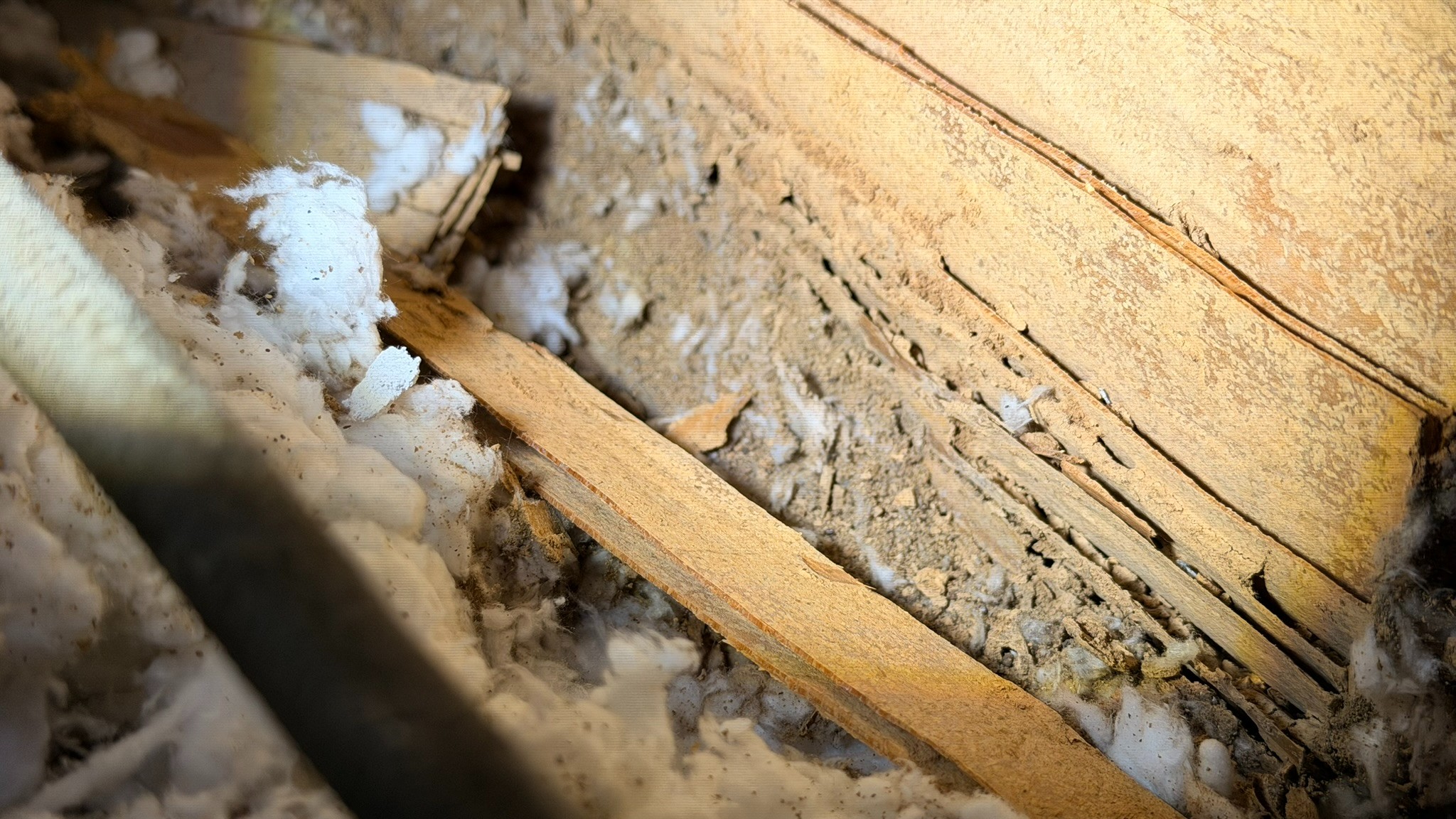 Subterranean Termite Damage