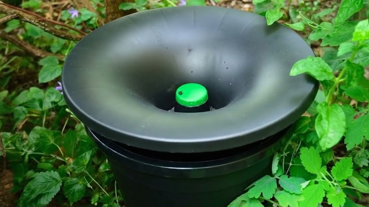 Mosquito Control Rockwall, Texas | Spidermen Services