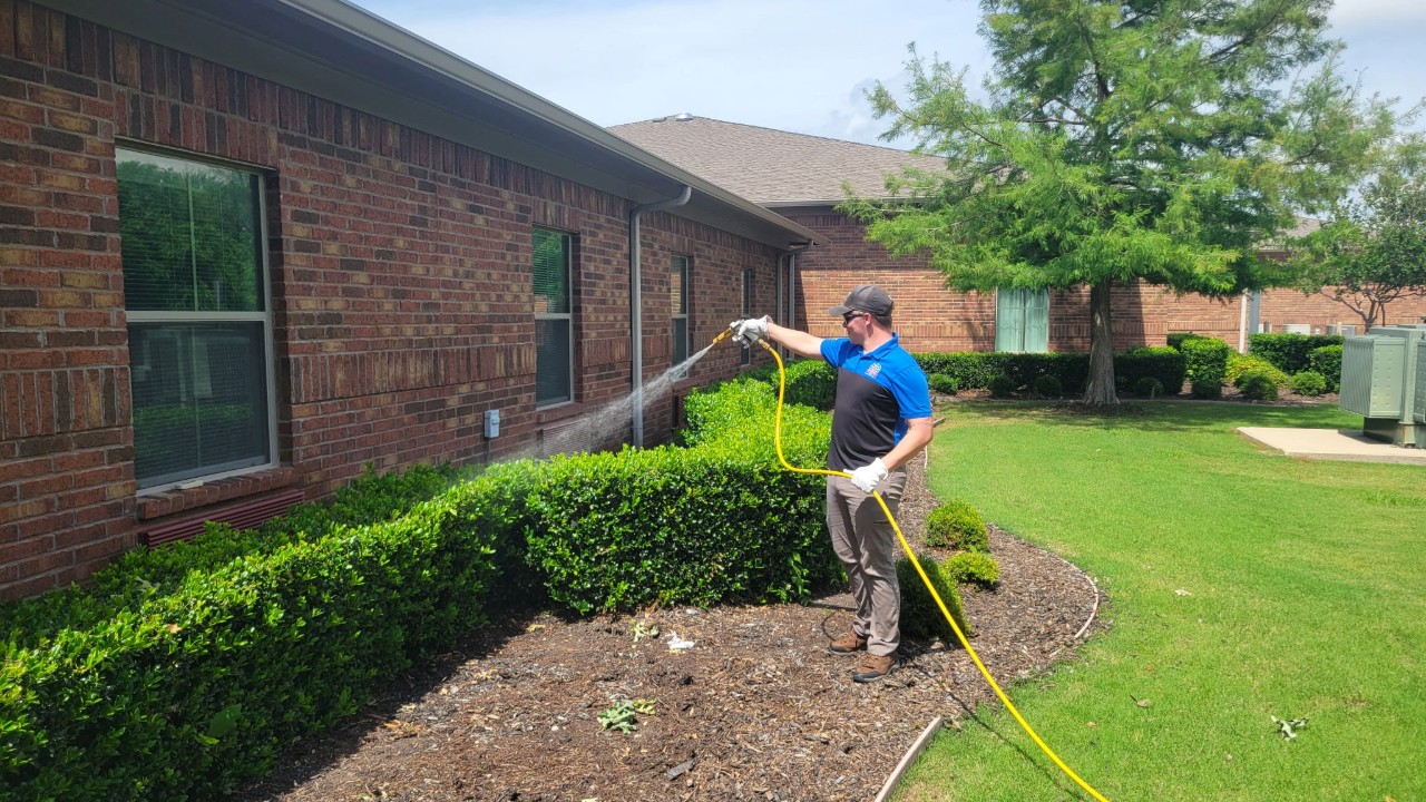 Rockwall Commercial Quarterly Pest Control | Spidermen Services