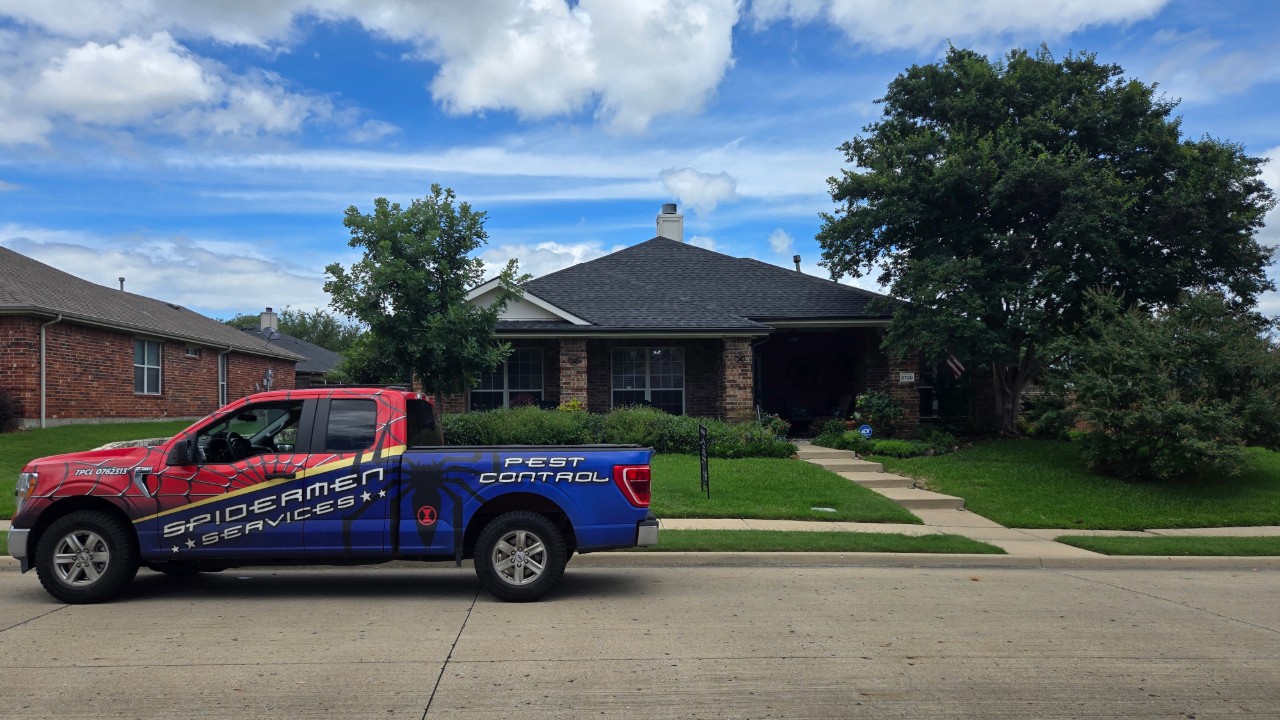 Rockwall Home Sale Saved! Spidermen Services Tackles Carpenter Ants in TX