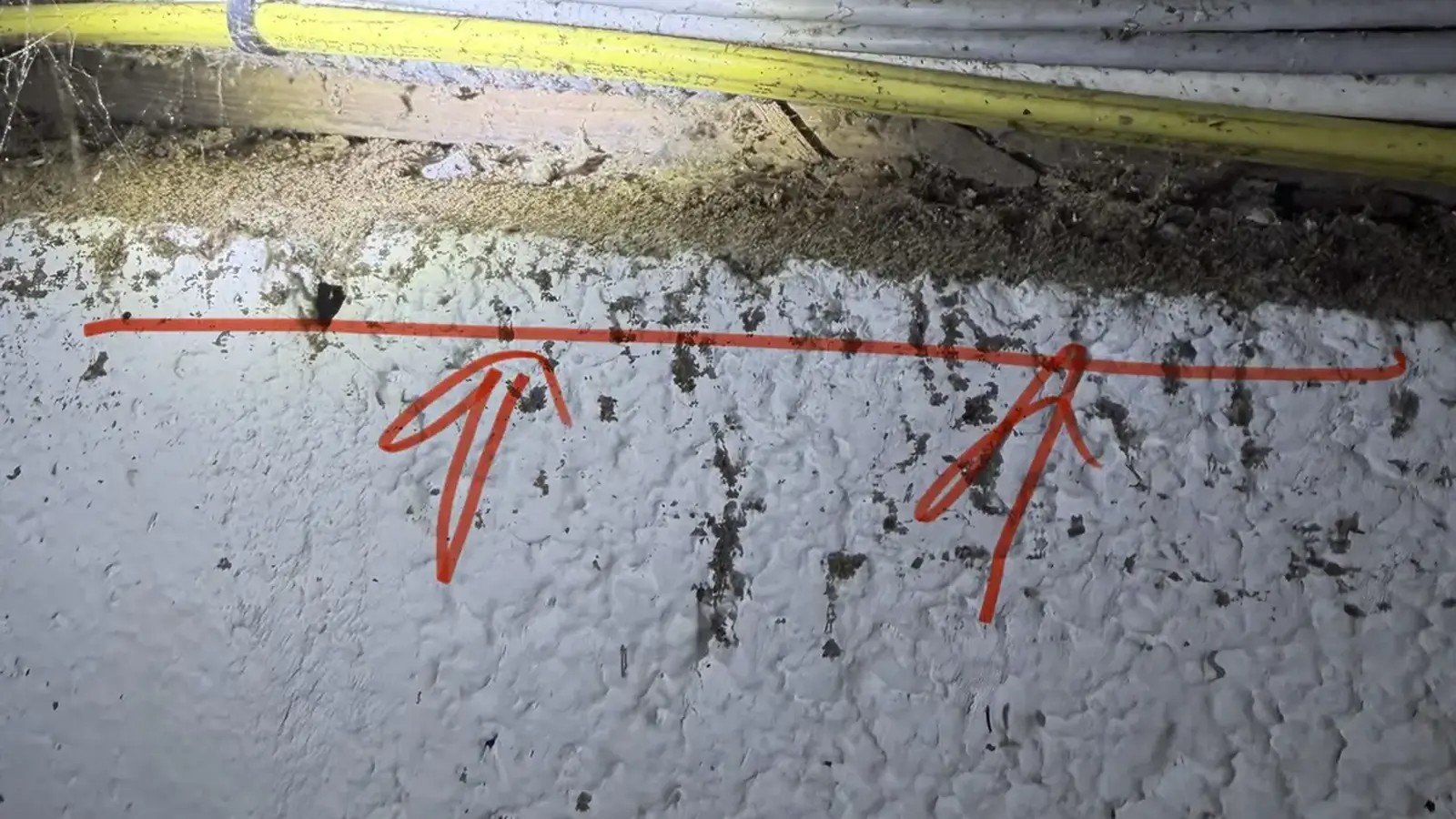 Bayville NJ Termite Control | Resolve Pest