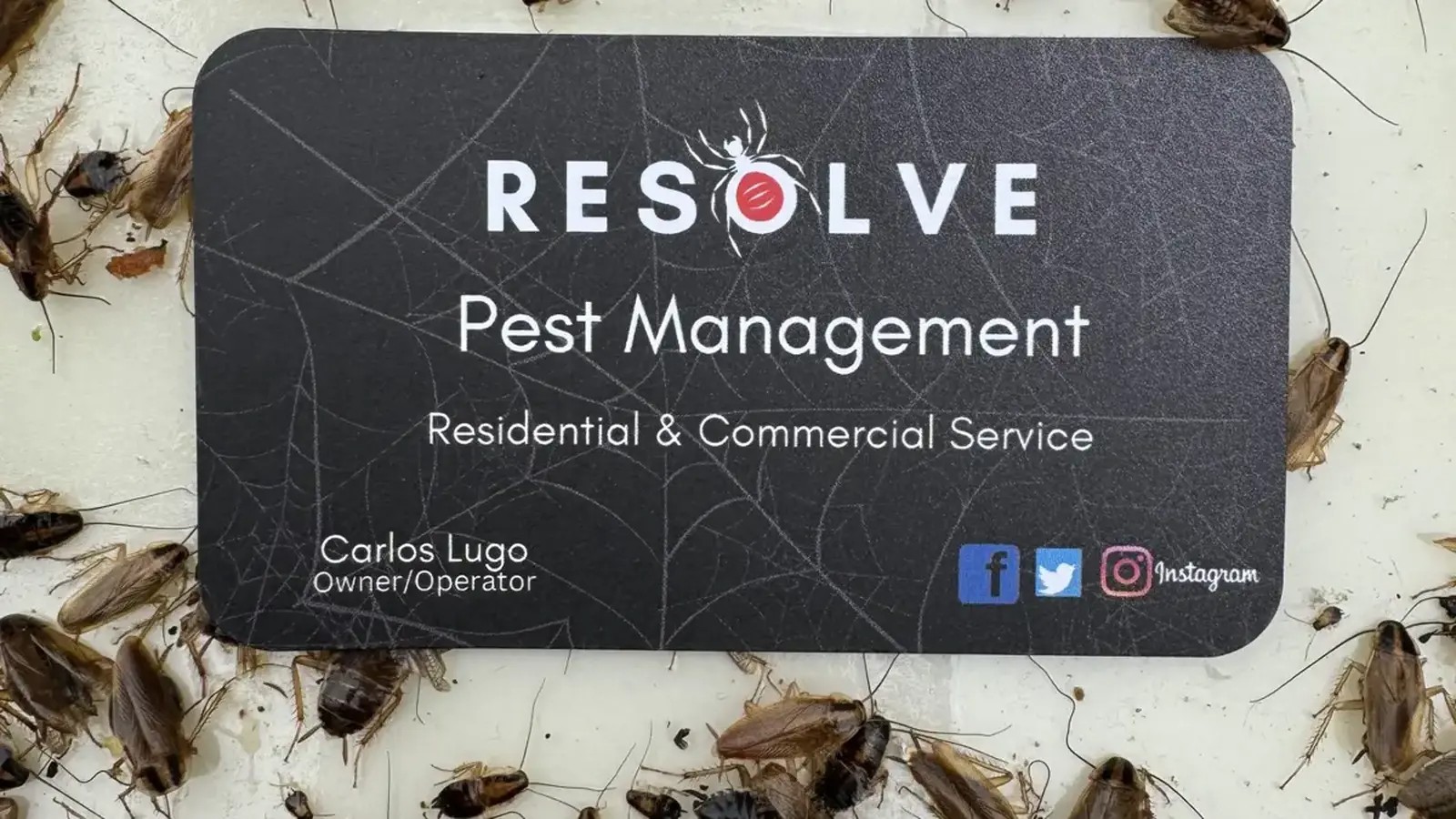 Bayville NJ Roach Control | Resolve Pest Management