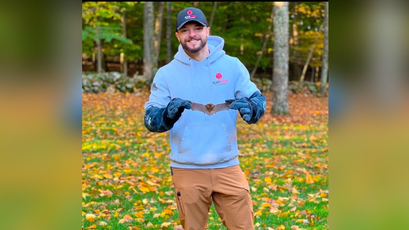 Humane Bat Removal in Beacon Falls, CT | PEXT Specialists