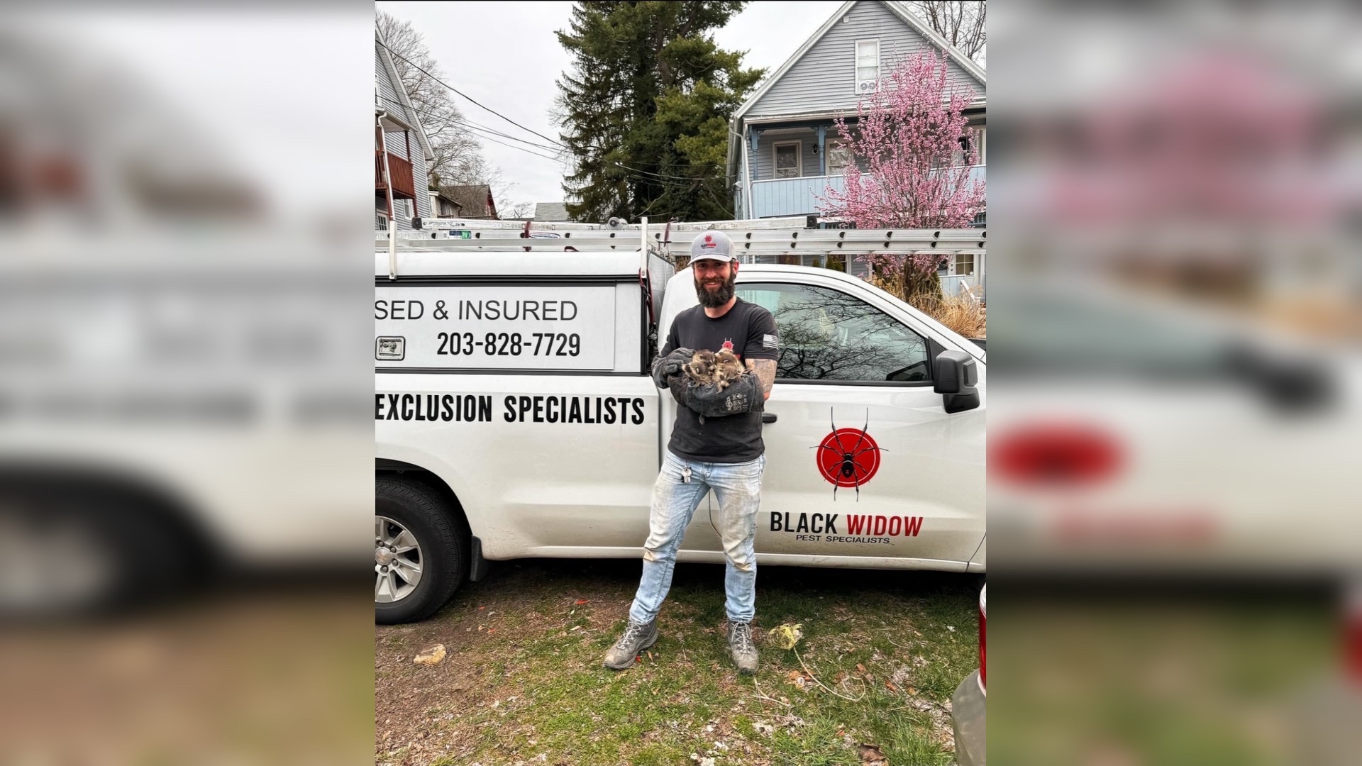 Beacon Falls Wildlife Removal & Trapping | PEXT Specialists