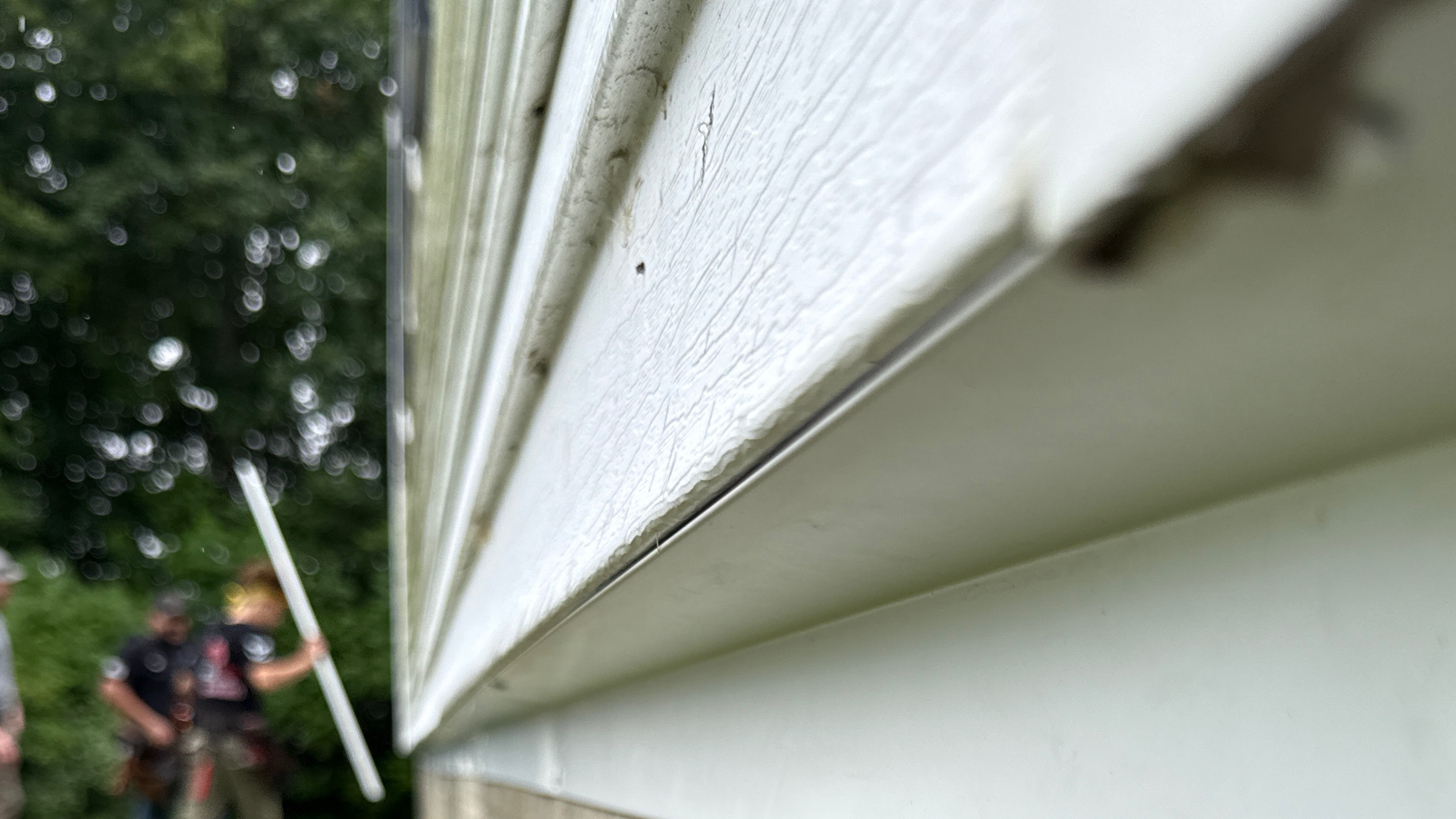 Rodent Proofing Services in Beacon Falls | PEXT Specialists