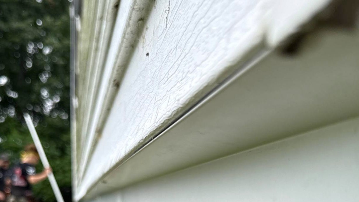 Rodent Proofing Services in Beacon Falls | PEXT