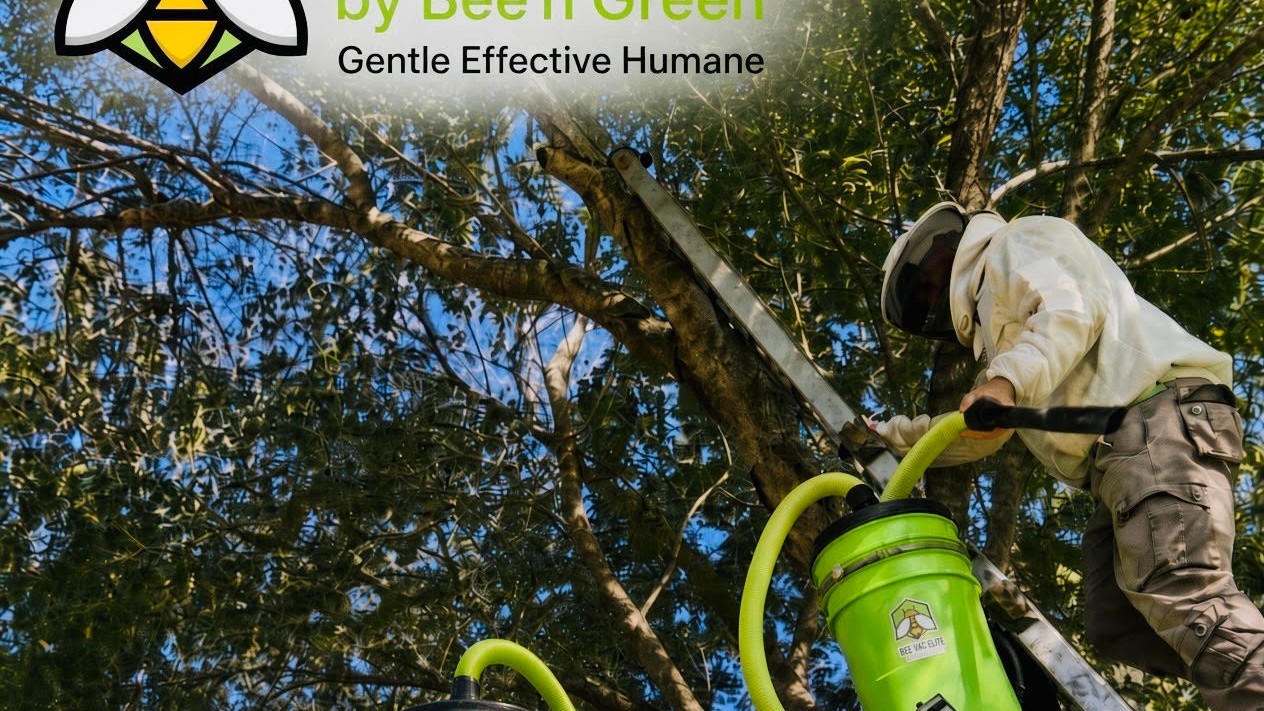 Honeybee Vacuum & Removal Accessories - Manvel, TX
