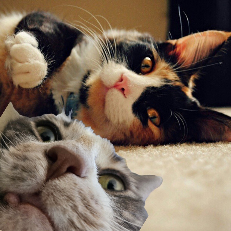 Dinah & Mable