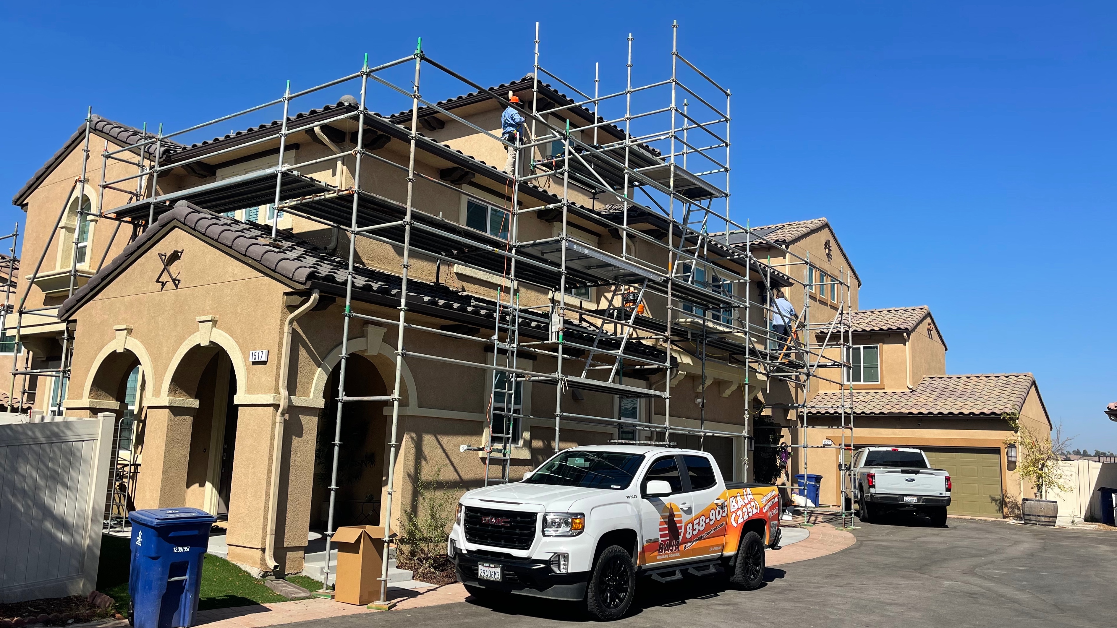 San Ysidro Bird Control & Removal | Baja Wildlife & Pest Control