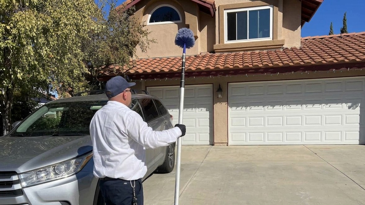 Regular Service - Dewebbing and Wasp Nest Knowckdown