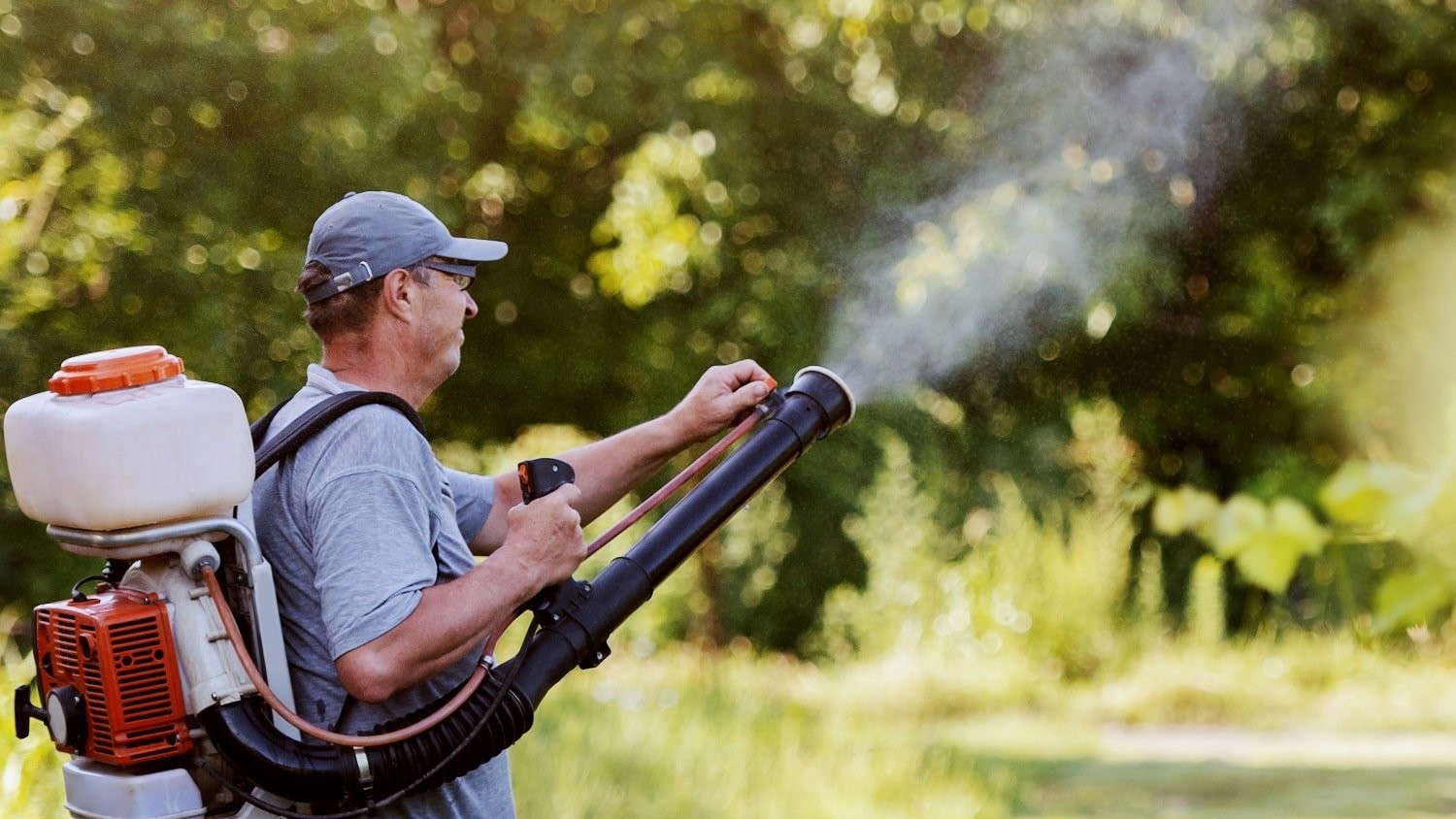 Mosquito Control Nederland TX | Tri-City Exterminating