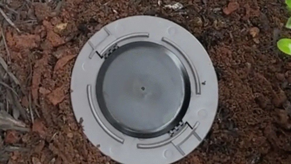 Termite Treatment & Control in Denton, MD | Virtues Professional Pest Control