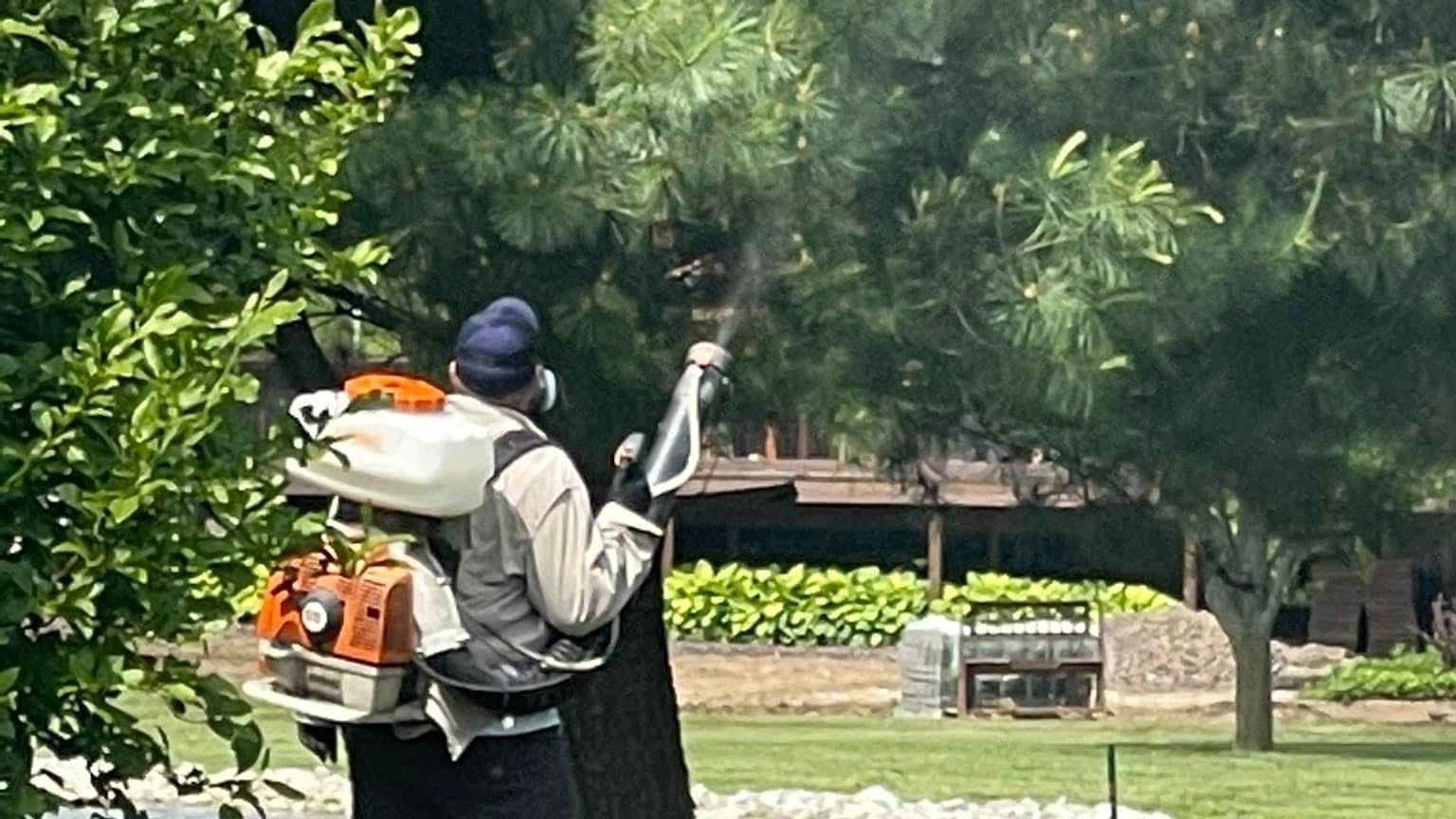 Mosquito Control Collinsville IL | Mosquito Police