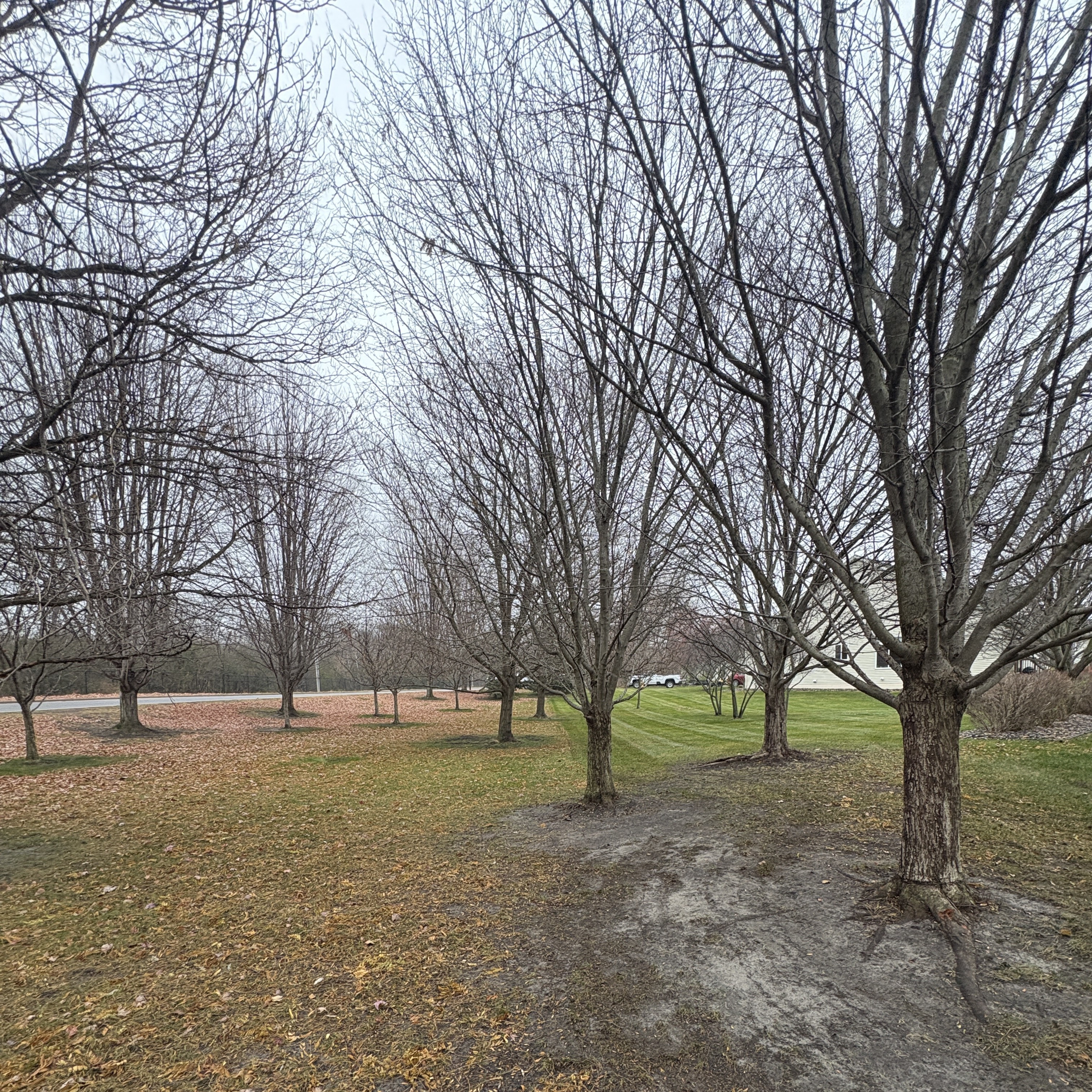 Before: Gallery image 19