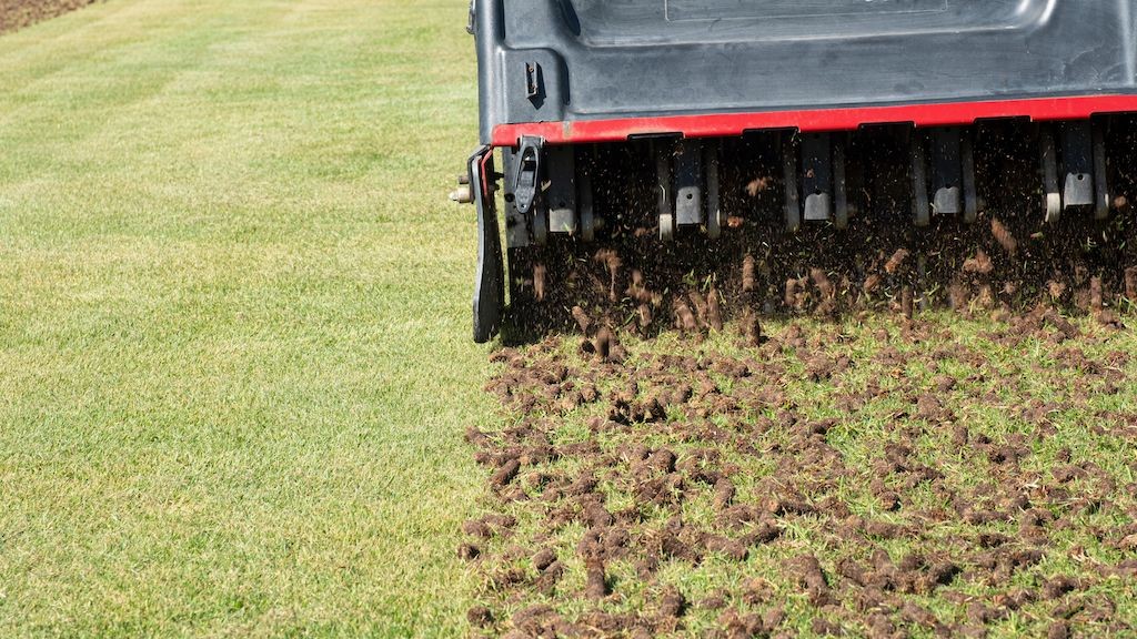 Andover, MN Lawn Aeration & Overseeding | Augusta Greens LLC