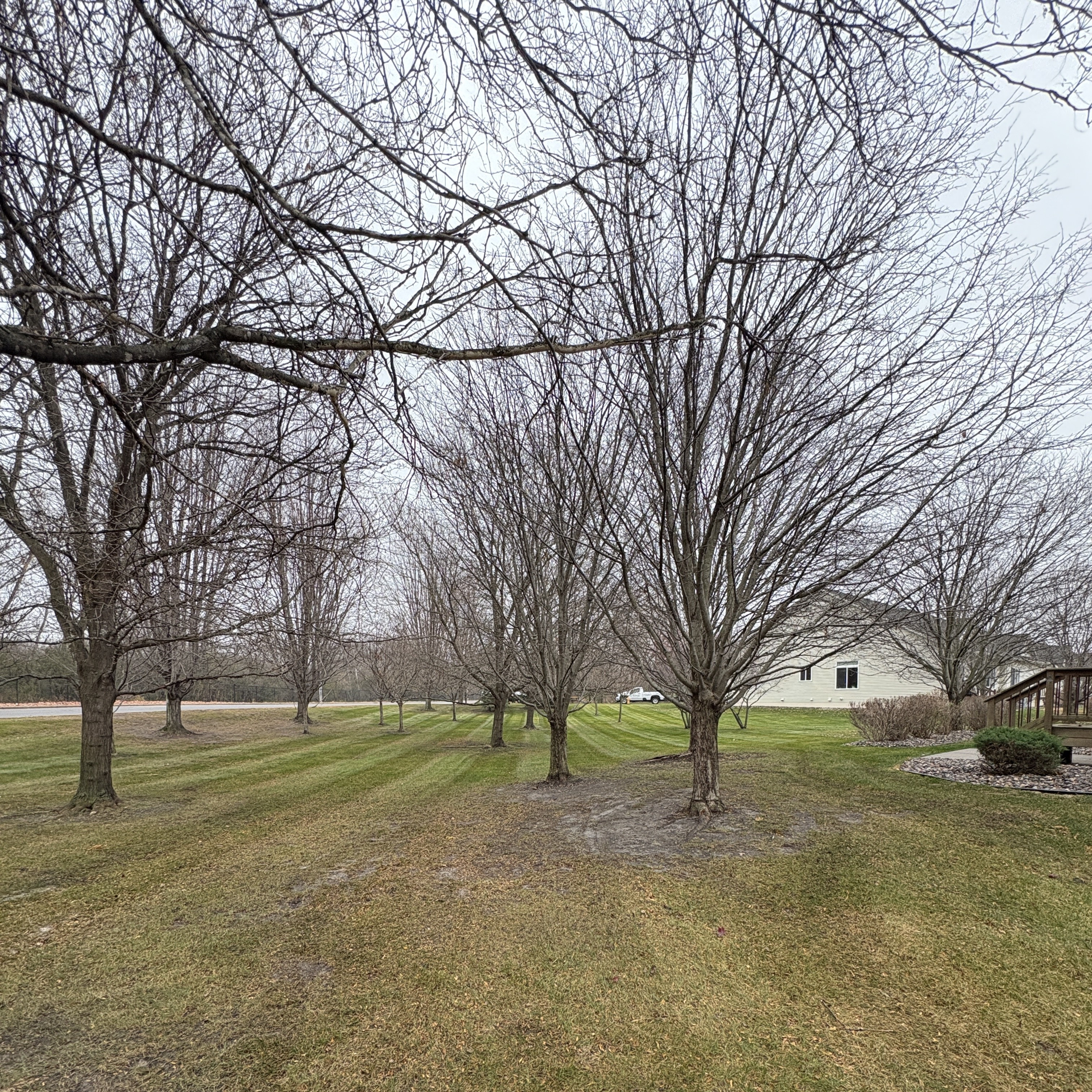 After: Gallery image 19