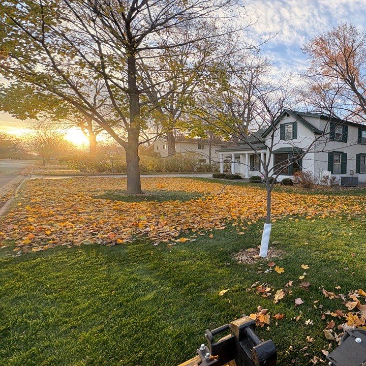 Before: Gallery image 17