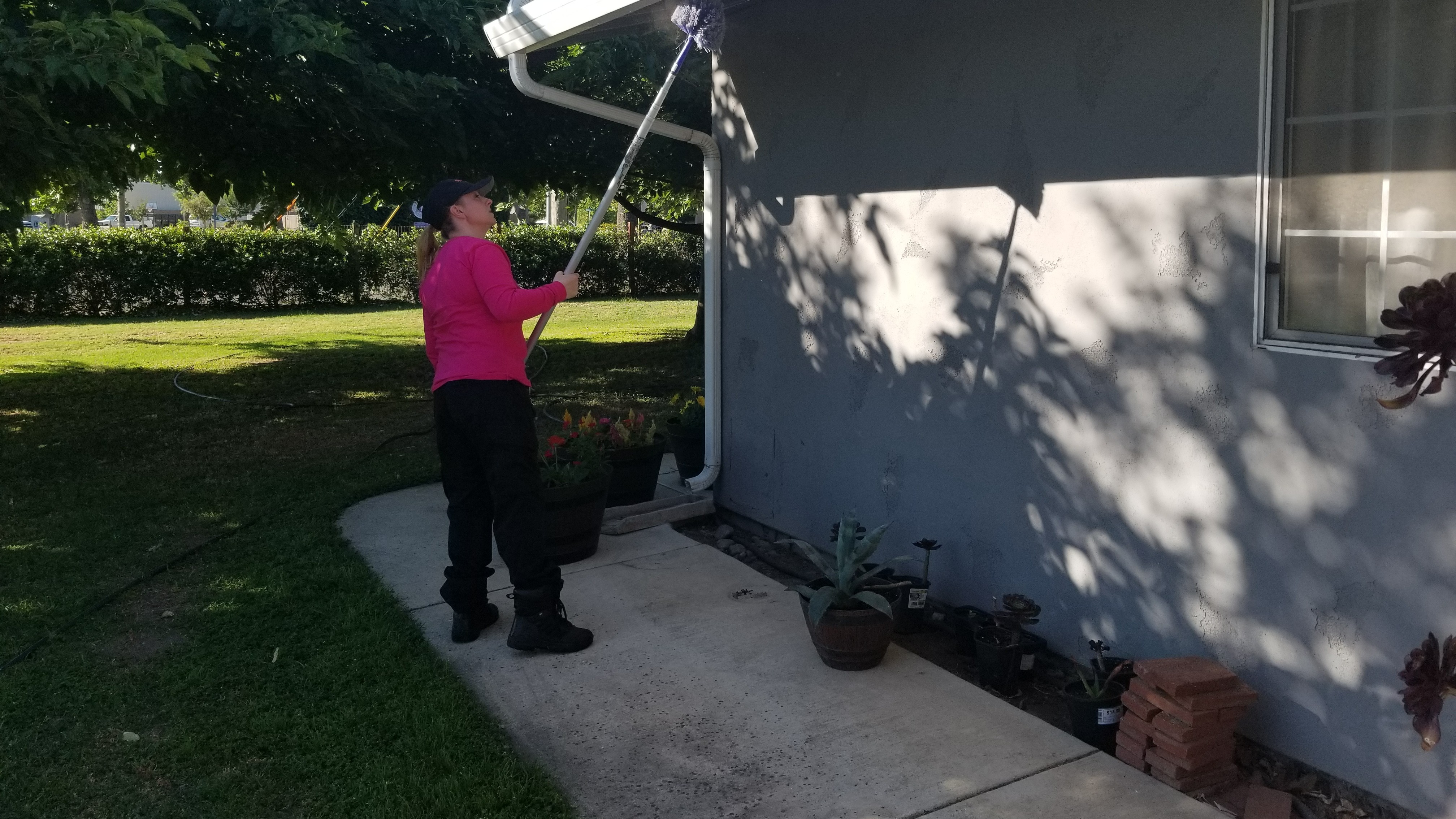 Brushing down webs
