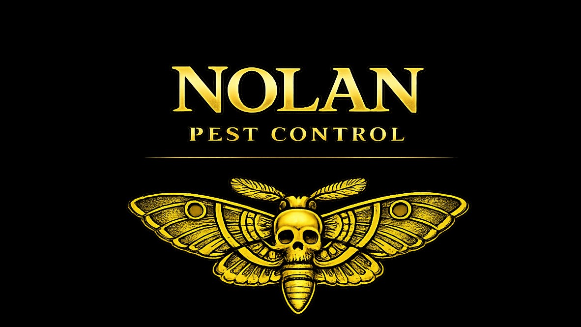 Is Your Home Hiding Pests? 5 Warning Signs