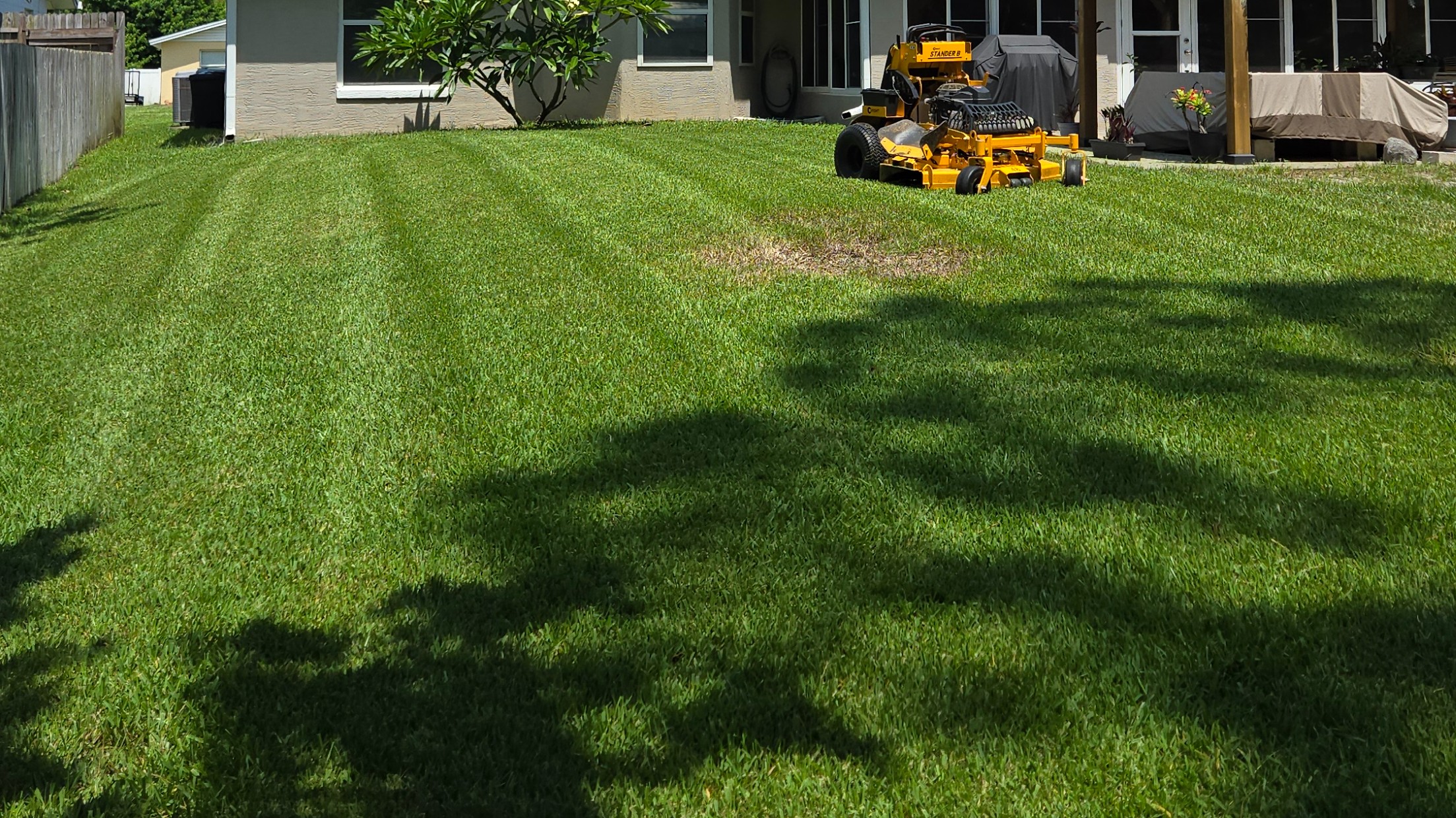 Lawn Mowing Service in Daytona Beach, FL | Gatortail Turf
