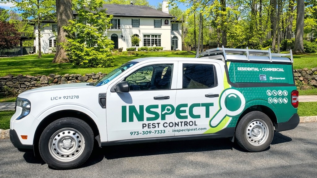 Cedar Grove NJ Pest Control & Solutions | Inspect Pest Control