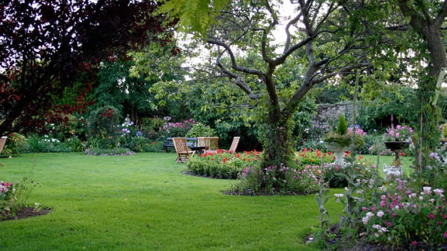 San Angelo Yard Revival: Expert Fire Ant & Bee Control