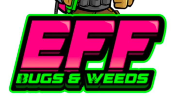 Surprise, AZ Ant Control | Expert Ant Removal & Prevention